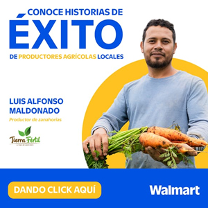 Walmart - Cuadrado